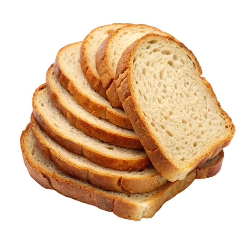 Pan Lactal Salvado